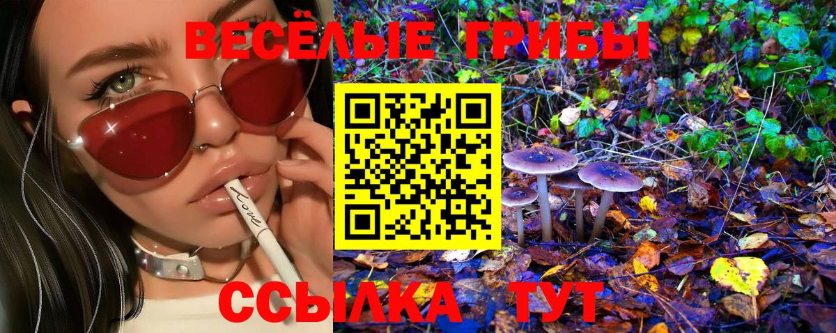 Чусовой  купить наркотик  Вход с VPN  Галлюциногенные грибы ЛСД 