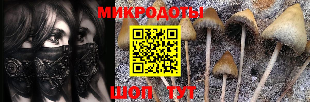 Псилоцибиновые грибы мухоморы Чусовой
